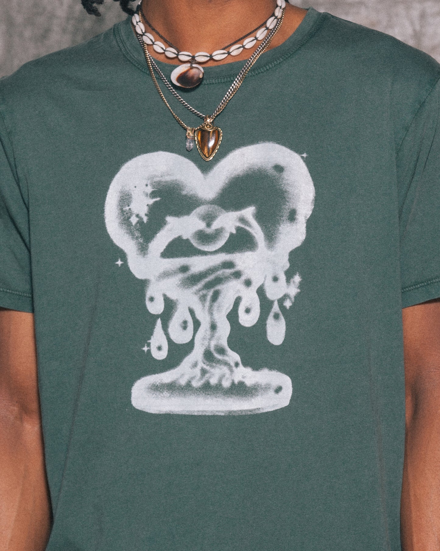 DOLPHIN HEART
